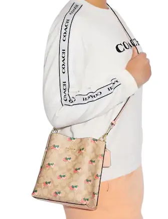 Coach Mollie Bucket Bag 22 In Signature Canvas With Strawberry Print