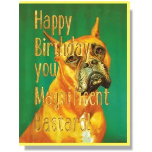 Happy Birthday You Magnificent Bastard