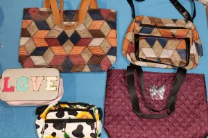 Ladies Bag Capsule Scoop
