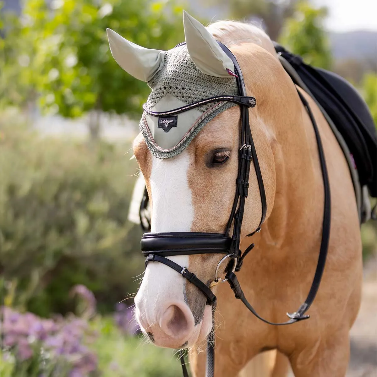 LeMieux Loire Fly Hood- Spring 24 Limited Edition