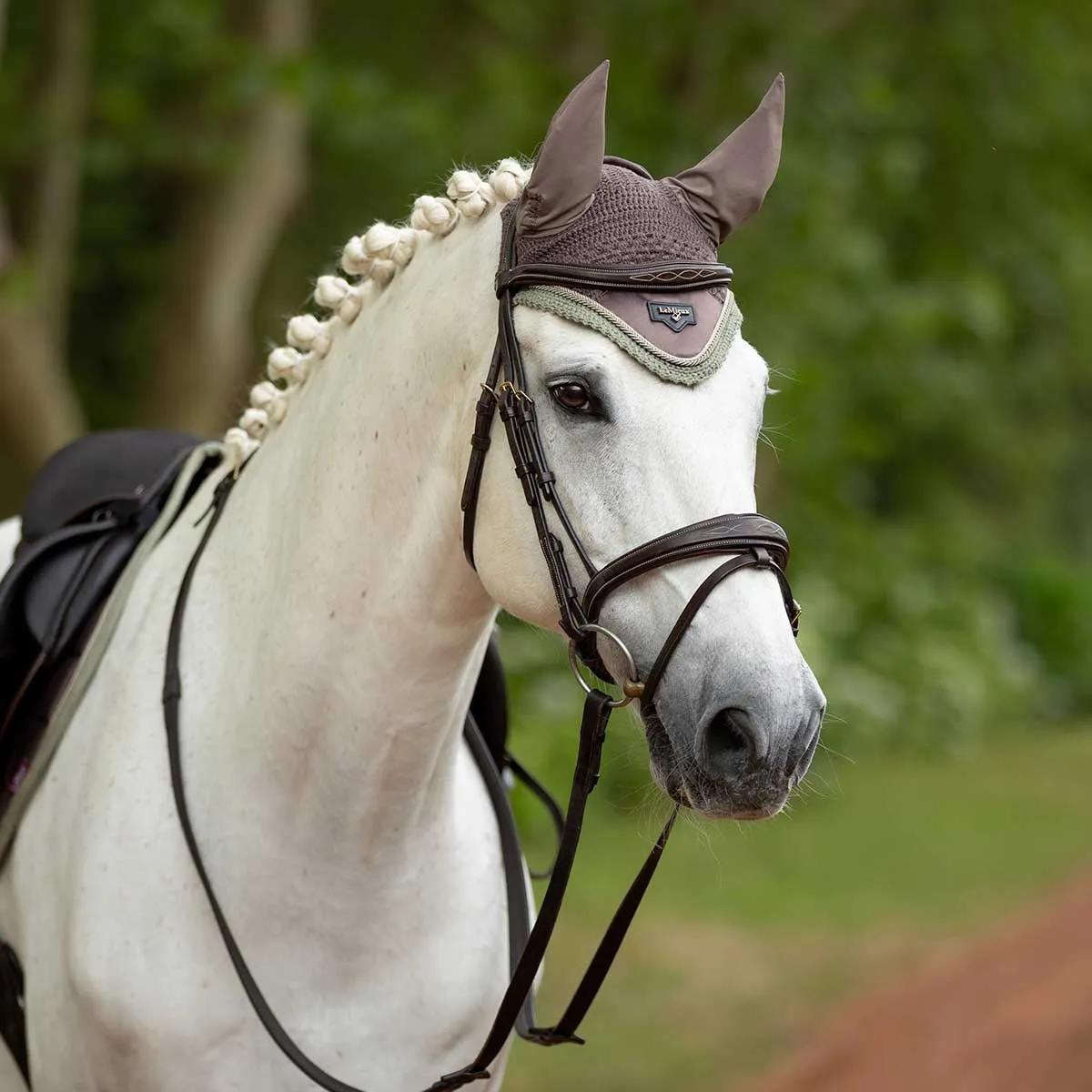 LeMieux Loire Fly Hood- Spring 24 Limited Edition