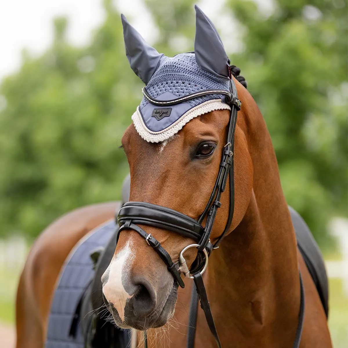 LeMieux Loire Fly Hood- Spring 24 Limited Edition
