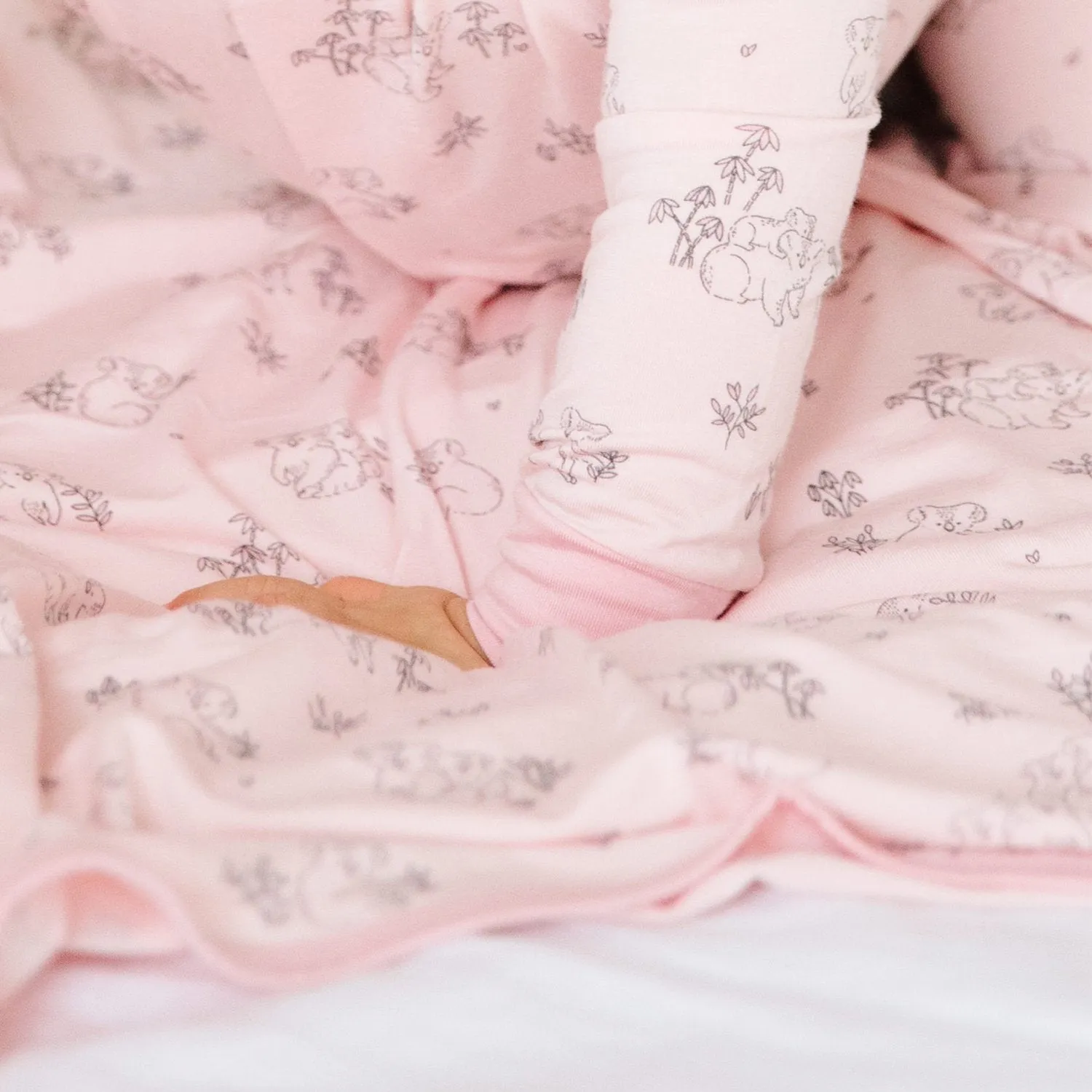 Magnificent Baby Koala Cuddles Blanket