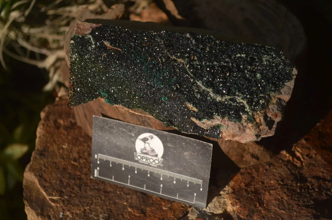 Natural Libethenite Crystals On Dolomite Matrix Specimens x 3 From Shituru, Congo