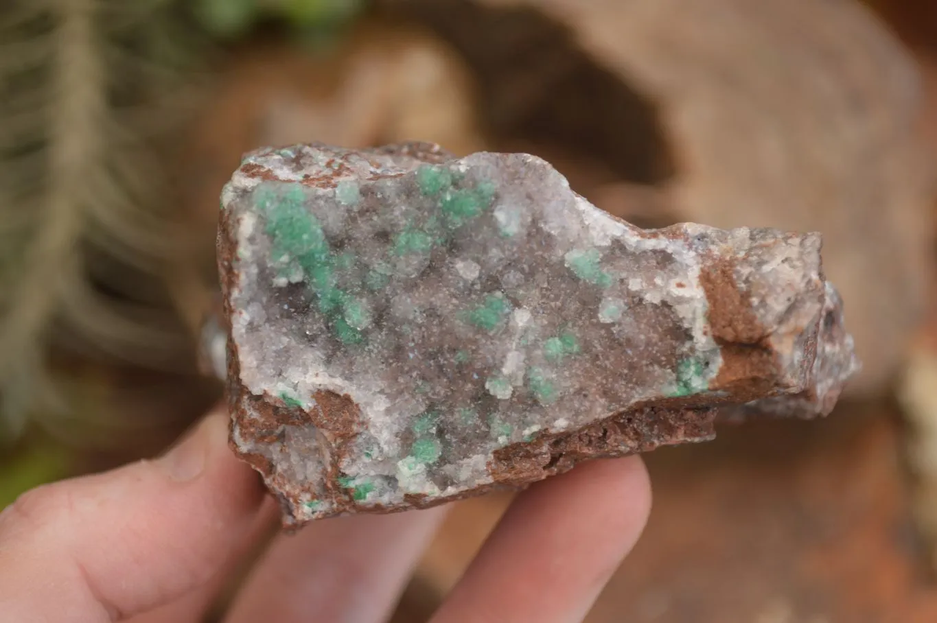 Natural Rare Ball Malachite On Drusy Quartz & Dolomite Matrix  x 3 From Likasi, Congo