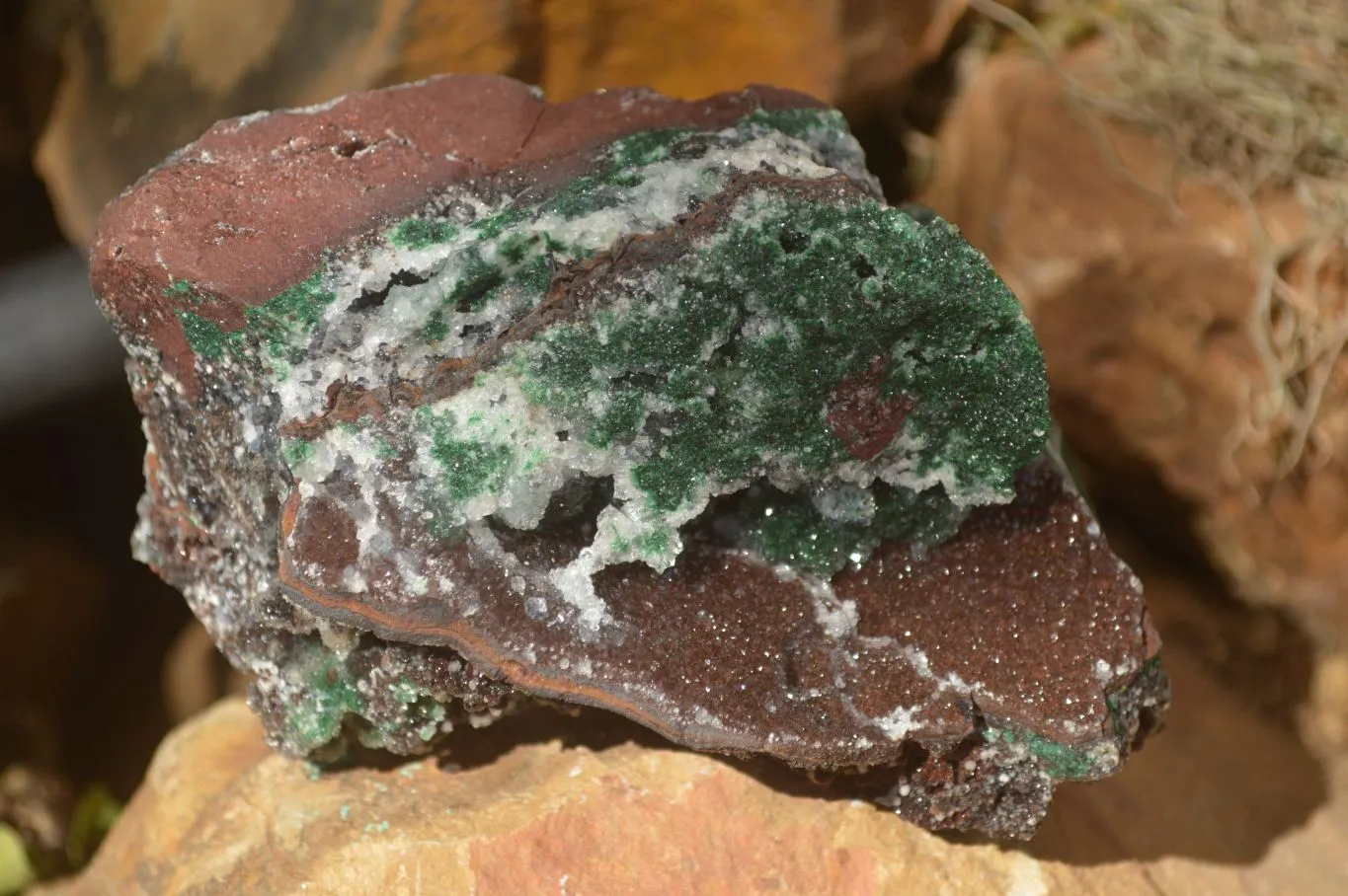 Natural Rare Ball Malachite On Drusy Quartz & Dolomite Matrix  x 3 From Likasi, Congo