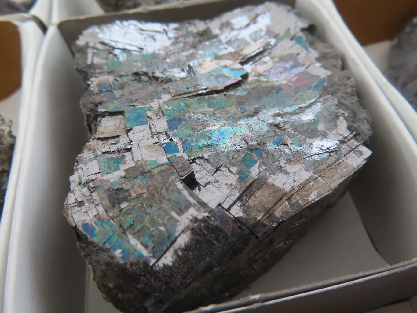 Natural Rare Silver Lead Galena Specimens x 12 From Namibia