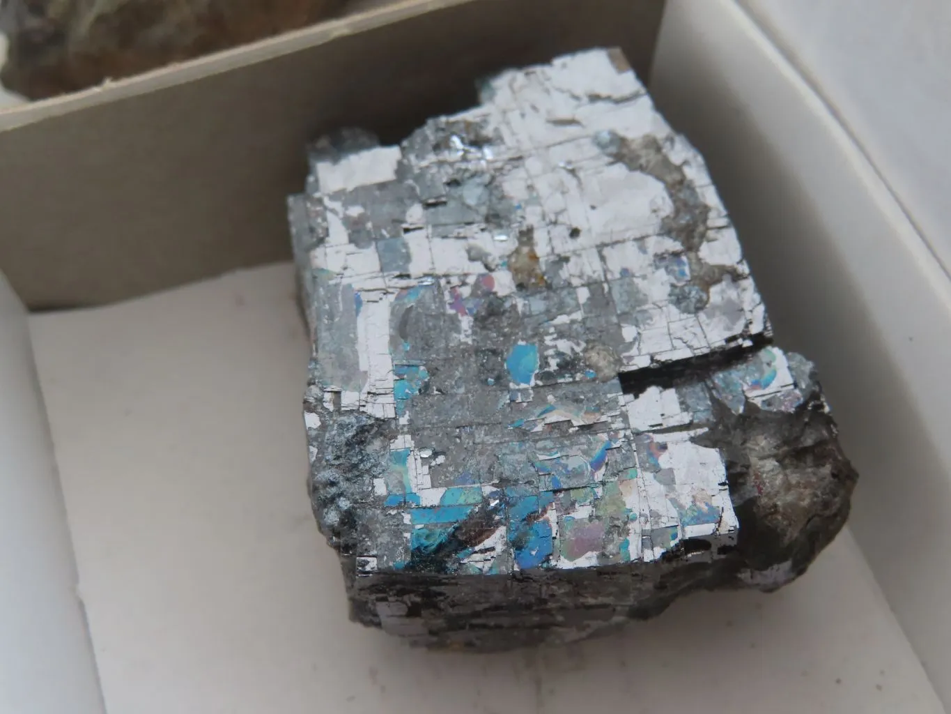Natural Rare Silver Lead Galena Specimens x 12 From Namibia