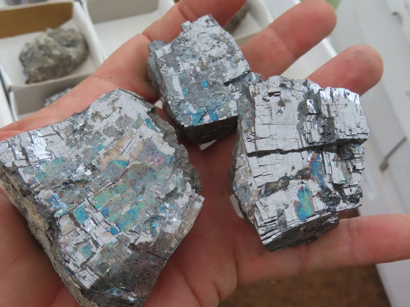 Natural Rare Silver Lead Galena Specimens x 12 From Namibia