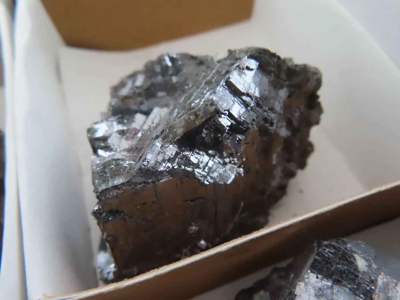 Natural Rare Silver Lead Galena Specimens x 12 From Namibia