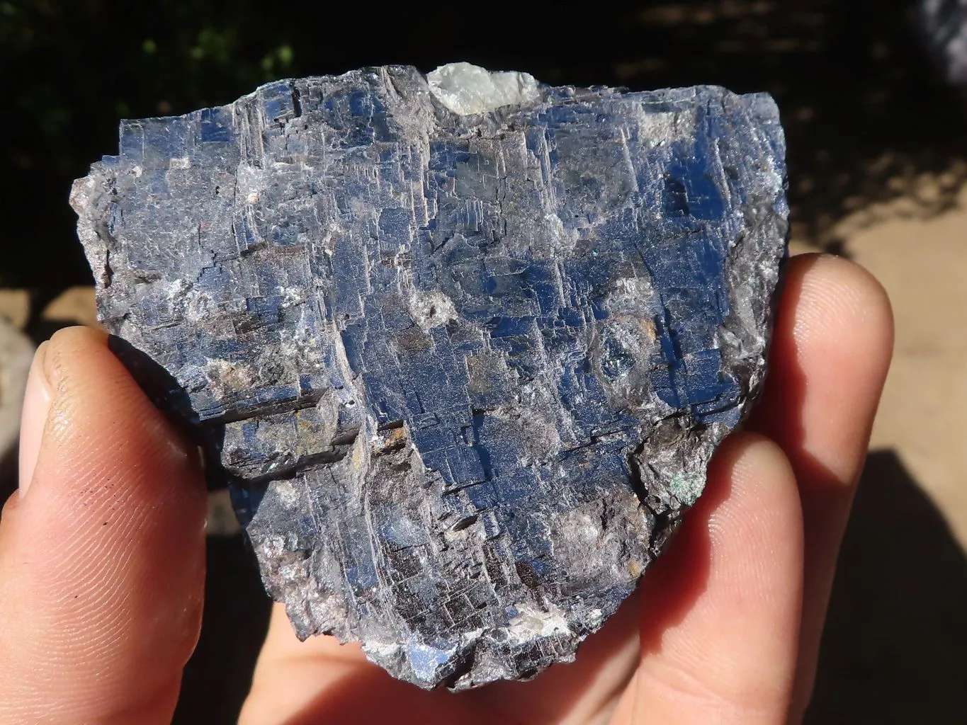Natural Rare Silver Lead Galena Specimens x 6 From Kaokoveld, Namibia