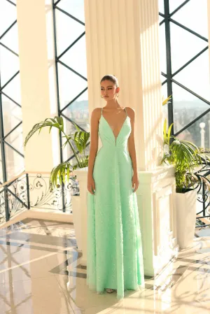 Nicoletta a lone embellished gown NC1017