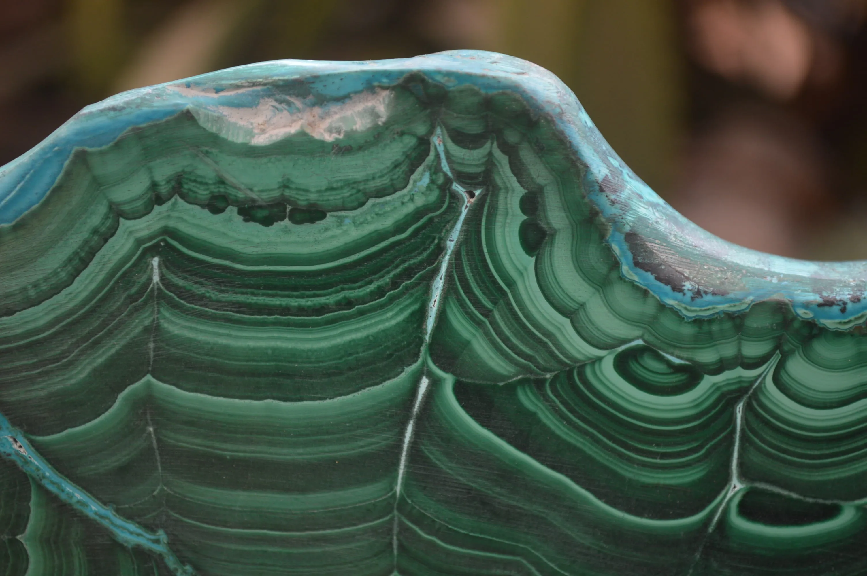 Polished Malacolla Slices x 3 From Kalukundi Mine, Congo
