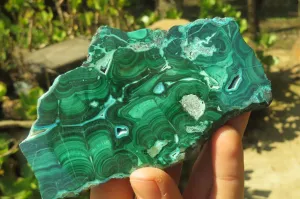 Polished Malacolla Slices x 4 From Kalukundi Mine, Congo
