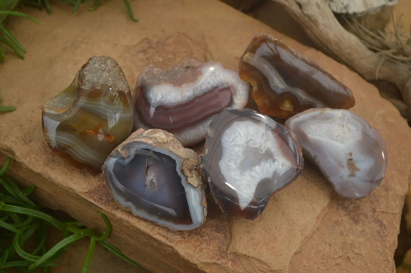 Polished on One Side Red Sashe River Agate Nodules x 6 From Zimbabwe