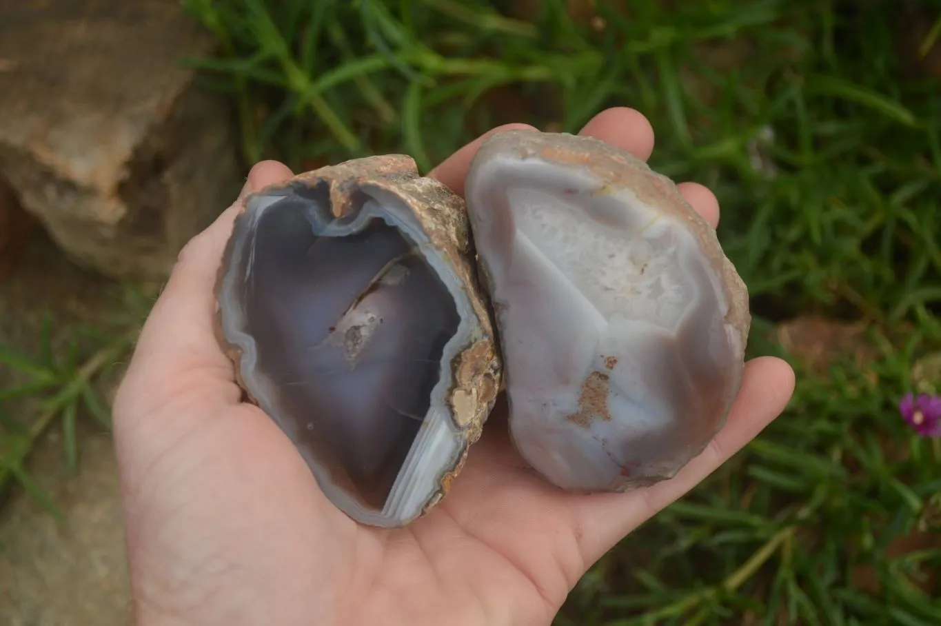 Polished on One Side Red Sashe River Agate Nodules x 6 From Zimbabwe