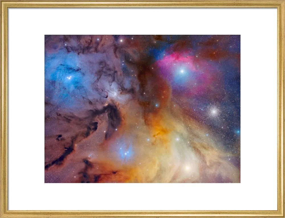 The Magnificent Rho Ophiuchi Complex (Custom Print)