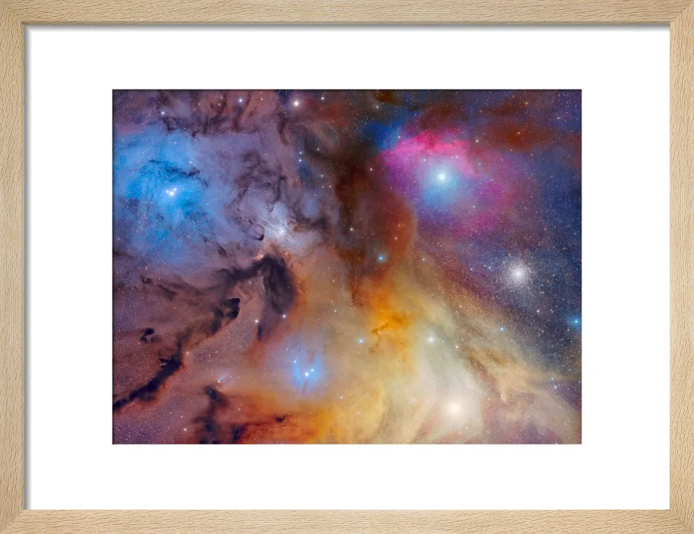 The Magnificent Rho Ophiuchi Complex (Custom Print)