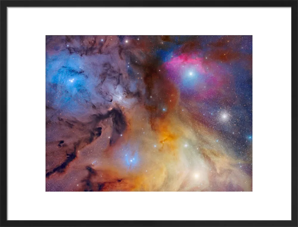 The Magnificent Rho Ophiuchi Complex (Custom Print)