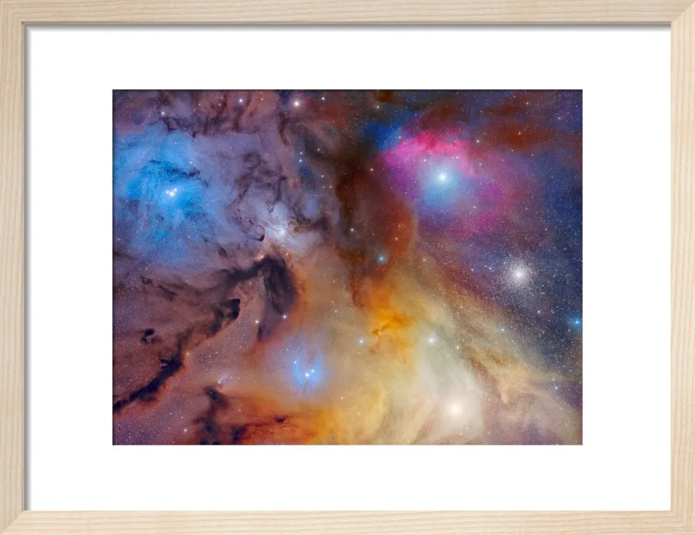The Magnificent Rho Ophiuchi Complex (Custom Print)