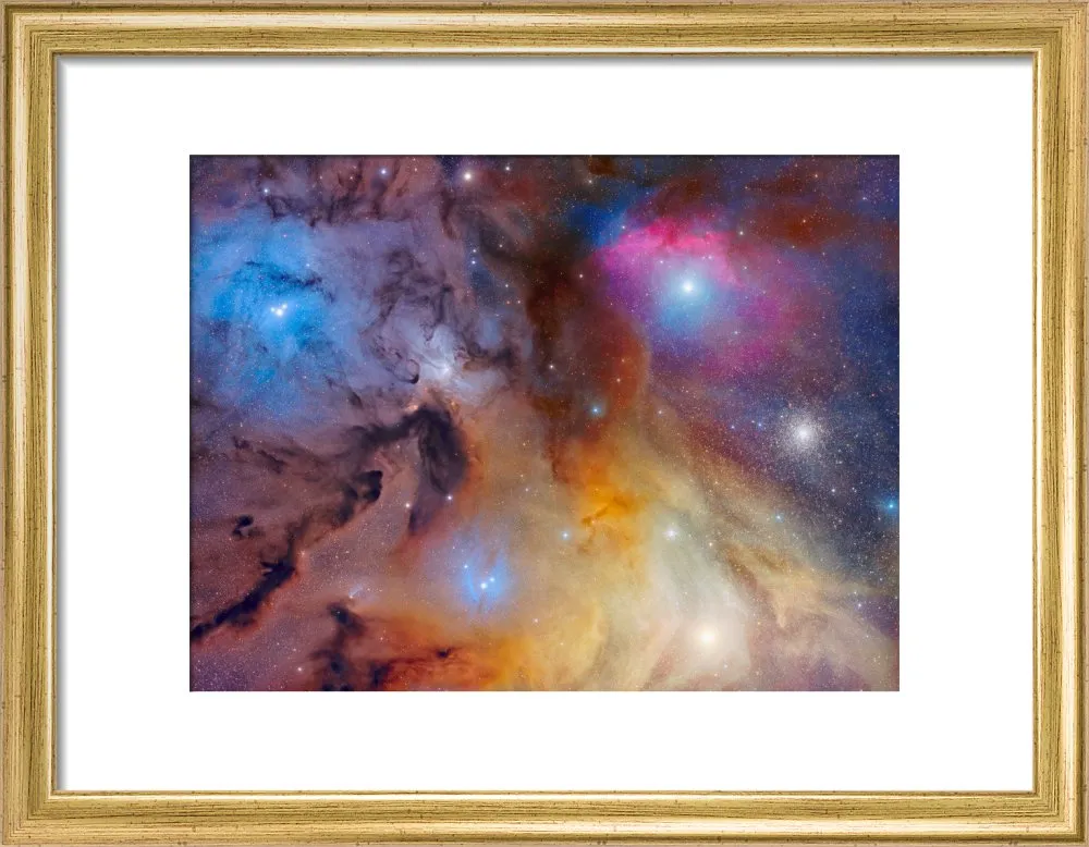 The Magnificent Rho Ophiuchi Complex (Custom Print)