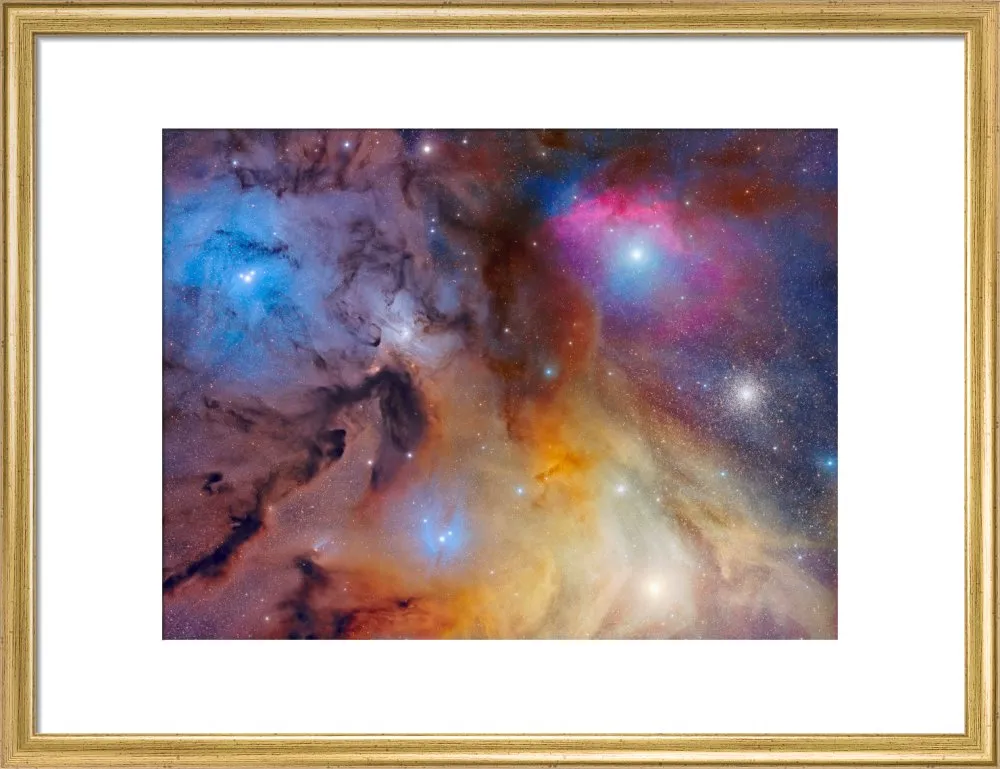 The Magnificent Rho Ophiuchi Complex (Custom Print)