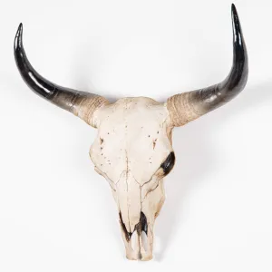 XL Faux Bison Skull - Bd101